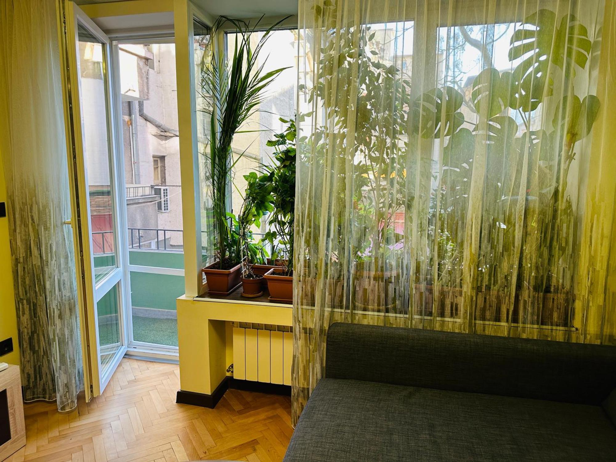 Apartament Luxury Oasis In Absolute Center Of Sofia Zewnętrze zdjęcie